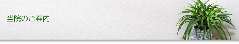 当院のご案内